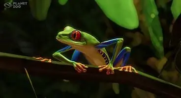 Planet Zoo Patch Notes - Update 1.2 and South America Pack