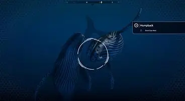 Beyond Blue Release Date - PC Release on Steam coming in June