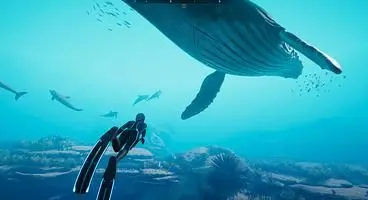 Beyond Blue Release Date - PC Release on Steam coming in June