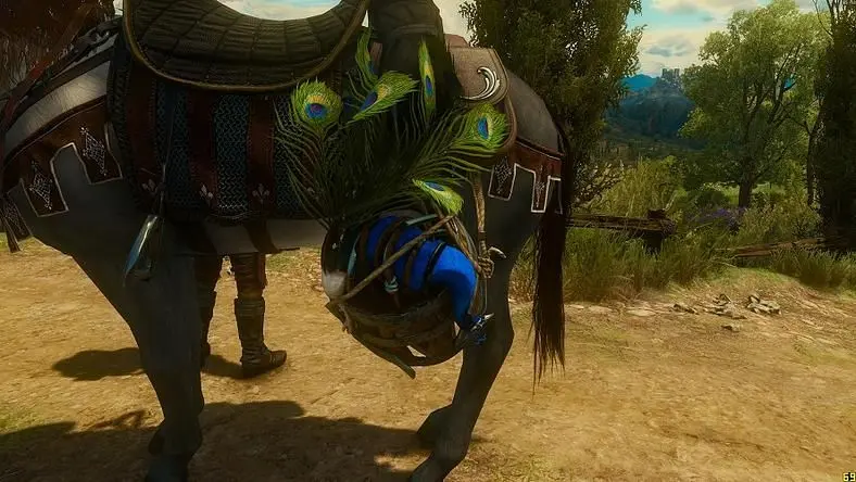 Witcher 3 Mods
