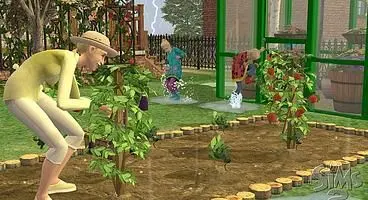 The Sims 2 Expansion pack 'Seasons' is the best thing since Sims started expanding.
