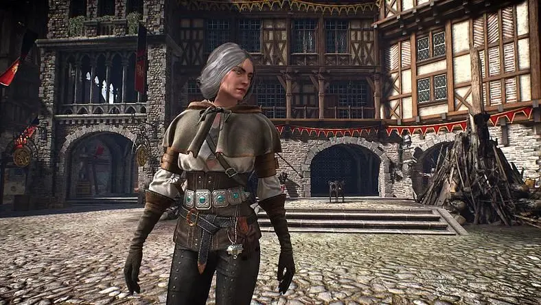 Witcher 3 Mods