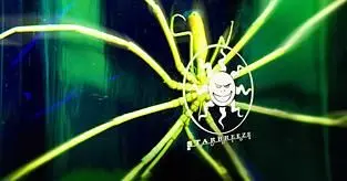 Starbreeze have PSN project in the works