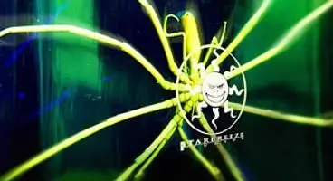 Starbreeze have PSN project in the works