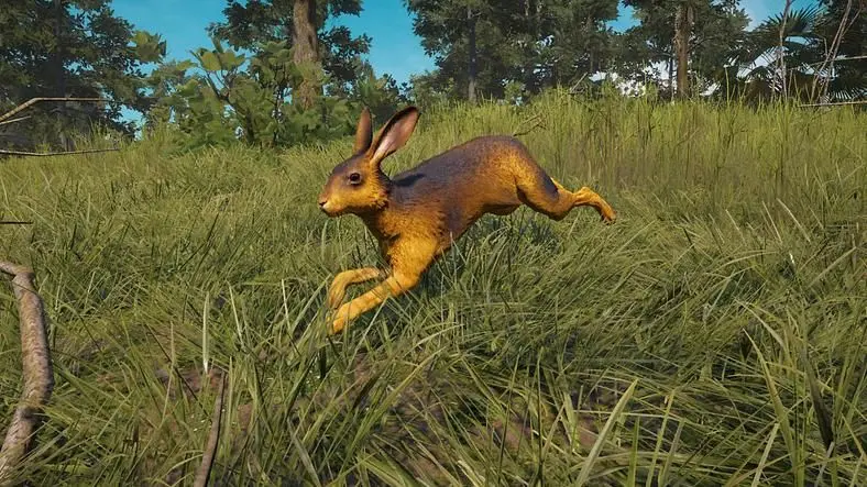 Far Cry: New Dawn Hare Location - Where Can You Hunt the Hare?