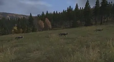 Upcoming Day Z update adding predatory animals
