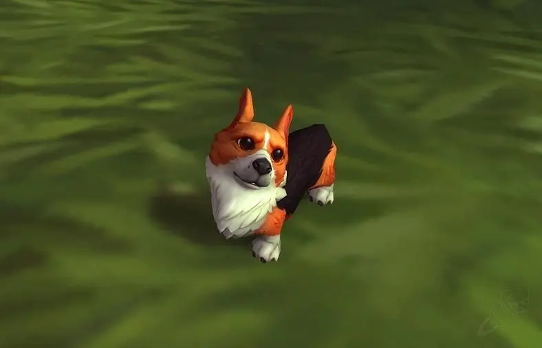 Blizzard Is Giving Away A Corgi Pup For World of Warcraft's 12th Anniversary