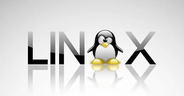 GOG.com "to support Linux" with Ubuntu and Mint, "not ready to launch" yet