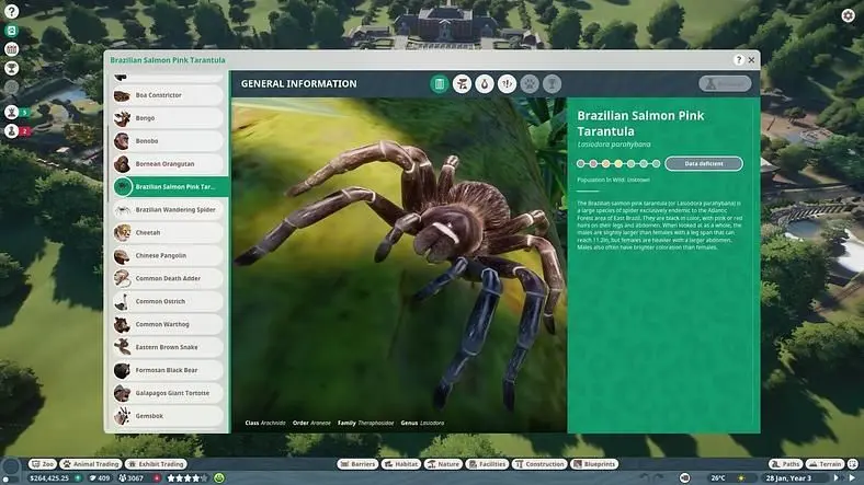 Planet Zoo Animal List - All Animals We Know Of
