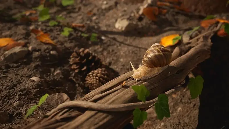Empire of the Ants creative director Renaud Charpentier discusses the process of bringing the little big RTS to life