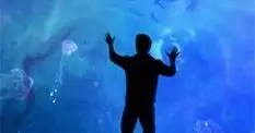 E3 2010: Child of Eden uses pads