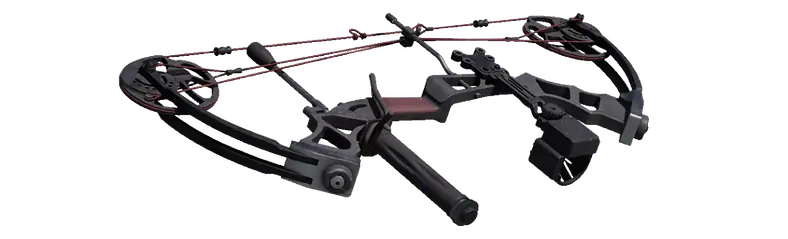 Compound Bow