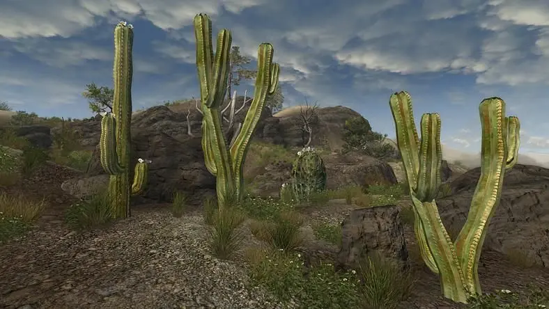 Fallout: New Vegas Mods