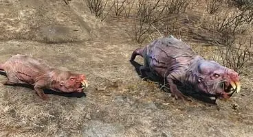Fallout 76 Mole Rat Locations and Brood Mother Spawns