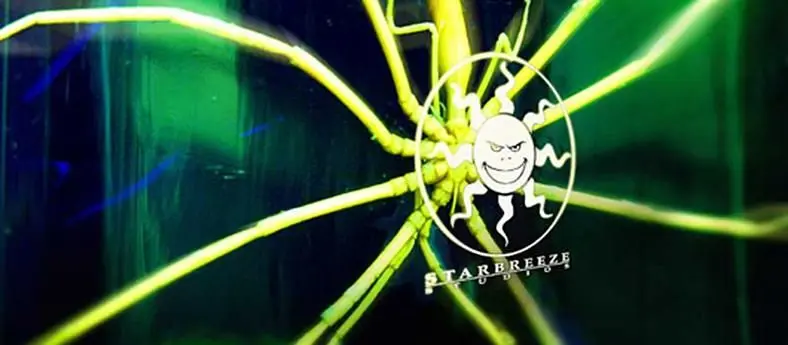 Starbreeze report strong Q2 financials from Payday 2, "very rare" in the industry