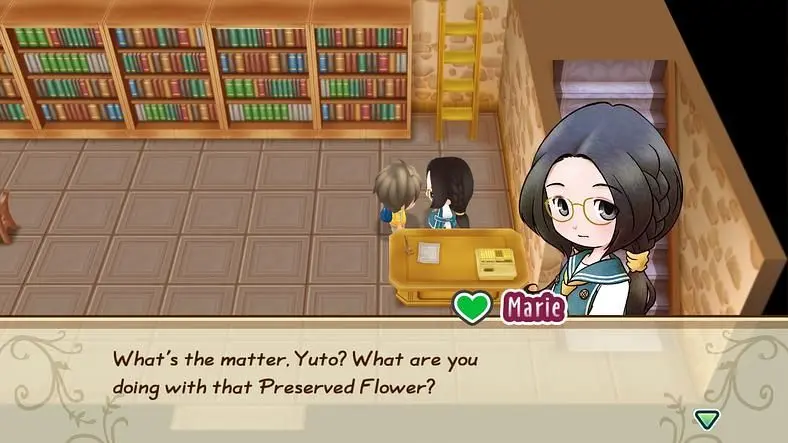 STORY OF SEASONS: Friends of Mineral Town Marriage Guide