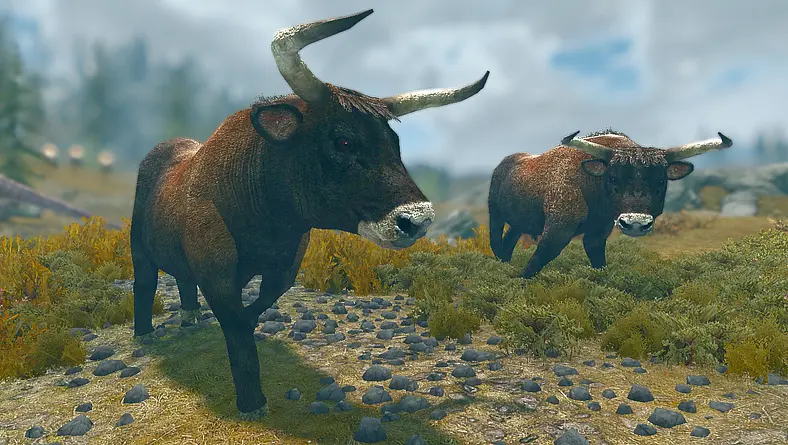 Best Mods