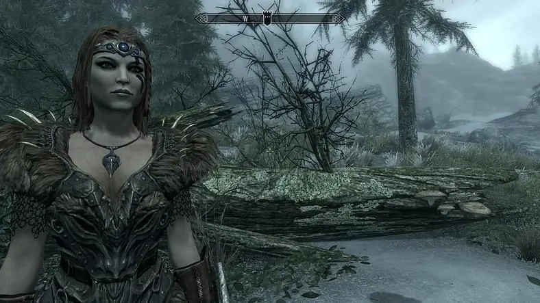 Good Skyrim Names - Flat-Bandit or Broken-Leg? What Are The Best Nord Names For Your Skyrim: Special Edition Playthrough?