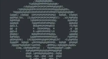 Key Sombra Overwatch Art Leaks Through The Blizzard Store