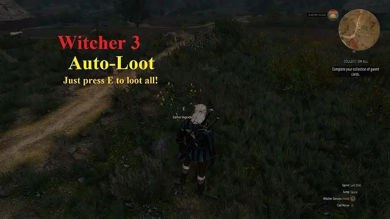Witcher 3 Mods