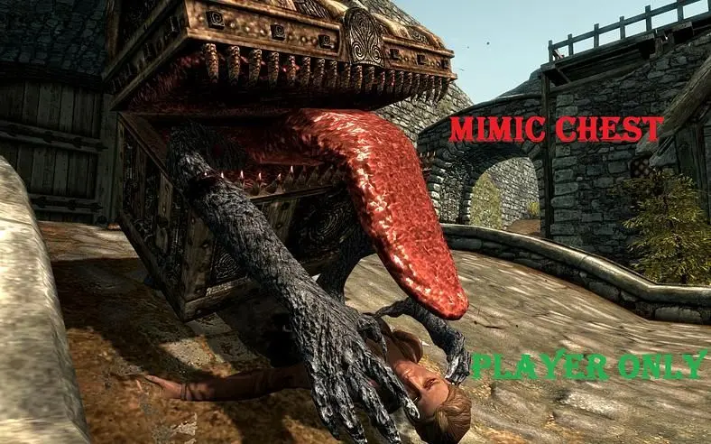 The Elder Scrolls V: Skyrim Mods