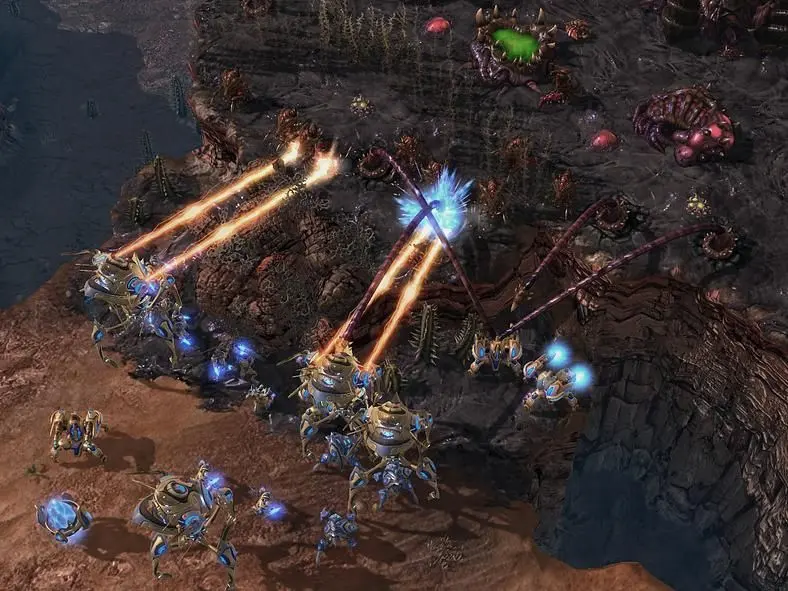 PETA promotes awareness about violence on the poor Zerg
