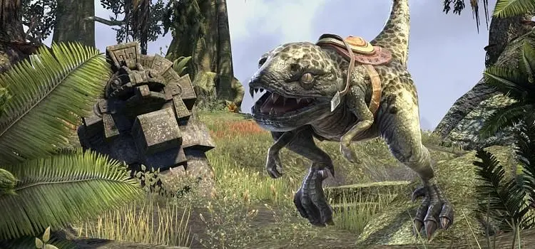 The Elder Scrolls Online Update 6 adds Collections System, "will free up a ton of space"
