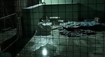 Half-Life: Alyx Release Date - Everything We Know