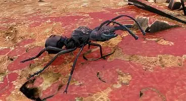 Fallout 76 Rad Ant Location Guide