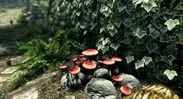 Unofficial Skyrim: Special Edition Patch - Famous Oblivion Modders Step In To Fix Skyrim