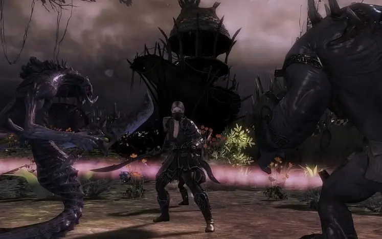 ArenaNet puts out call for Guild Wars 2 beta testers over next 48 hours