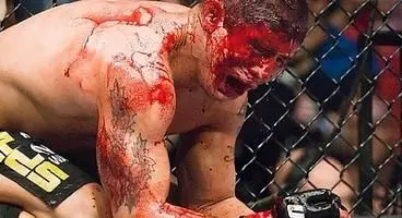 UFC - Walking with Giants