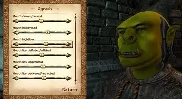 Near-masterpiece, absolutely phenomenal achievement for Bethesda, and no-doubt the best game on the PC in 2006, if not all formats.