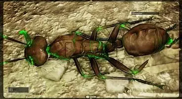 Fallout 76 Rad Ant Location Guide