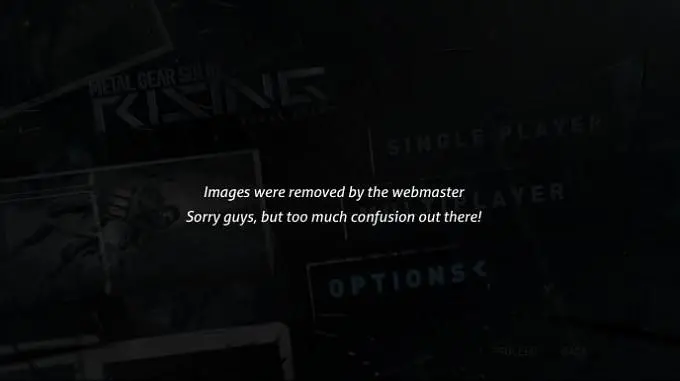 Metal Gear Solid: Rising multiplayer?