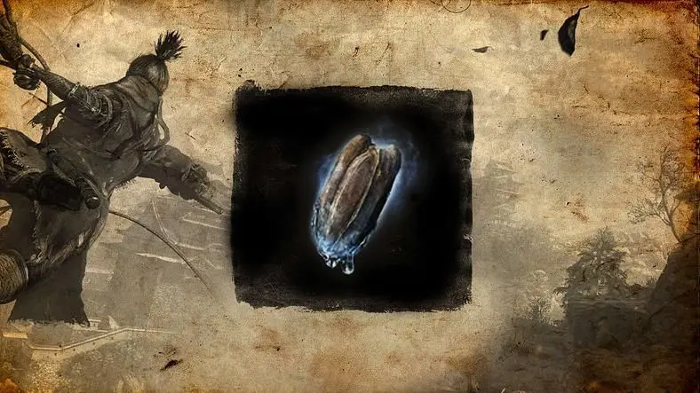 Sekiro Shadows Die Twice Gourd Seeds - All Gourd Seeds Locations