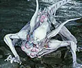 Pathogen Runner