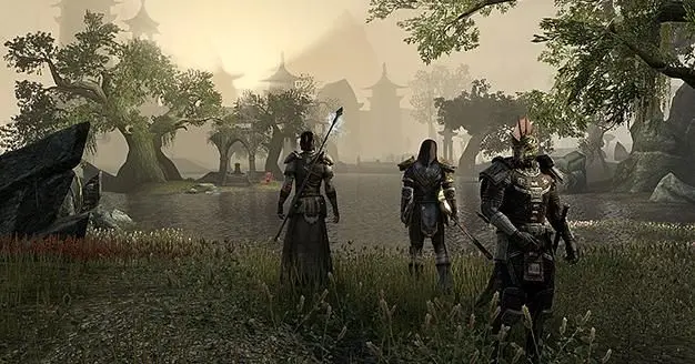 Over 80% of support emails 'black market' related in The Elder Scrolls Online