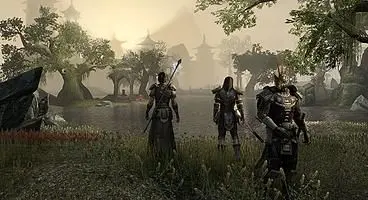 Over 80% of support emails 'black market' related in The Elder Scrolls Online