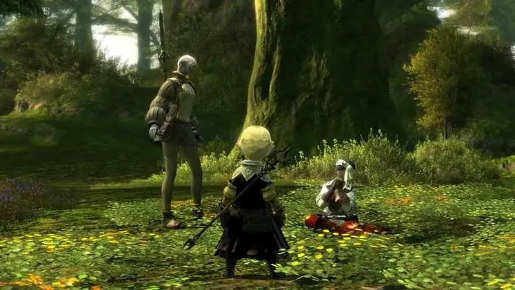 Square-Enix offers re-subscription incentives for Final Fantasy XIV