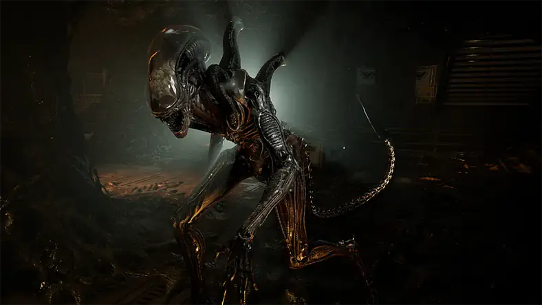 Enemies / Drone