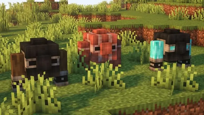 Guides / Is Minecraft Still Worth Playing in 2025?
