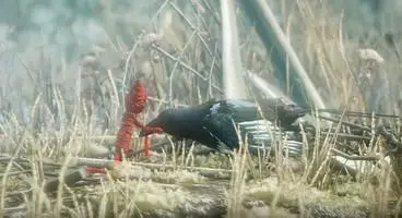 Yarn platformer Unravel gets February 9 release date