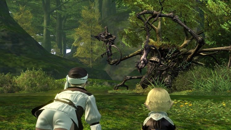 Fan blacklash forces Final Fantasy XIV merger to be put on hold