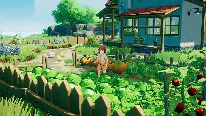 Are There Any Plans to Release Starsand Island on PlayStation 5 or Switch 2?