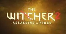 The Witcher 2 has "not been dumbed down" nor "consolised"