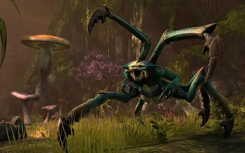 The MMO's Lead Gameplay Designer spills the beans.