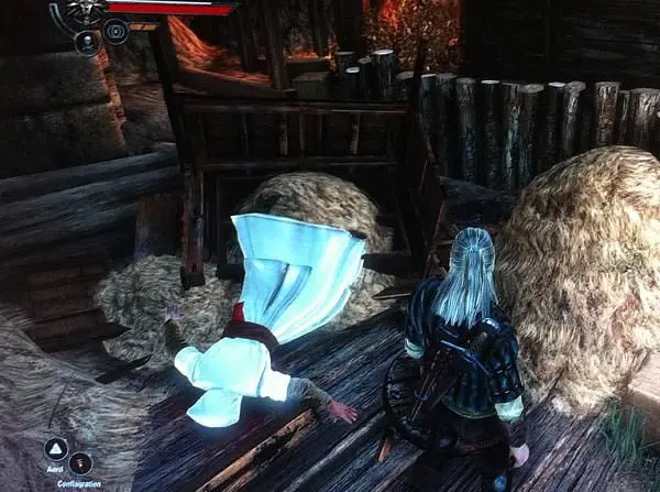 Altair makes a cameo in The Witcher 2