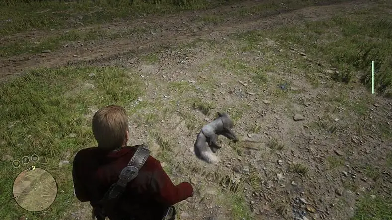 This Red Dead Redemption 2 Stasis Mod Lets You Stop Animals Dead in Their Tracks