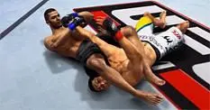 THQ has included 'Online Pass' codes for UFC Undisputed 2010